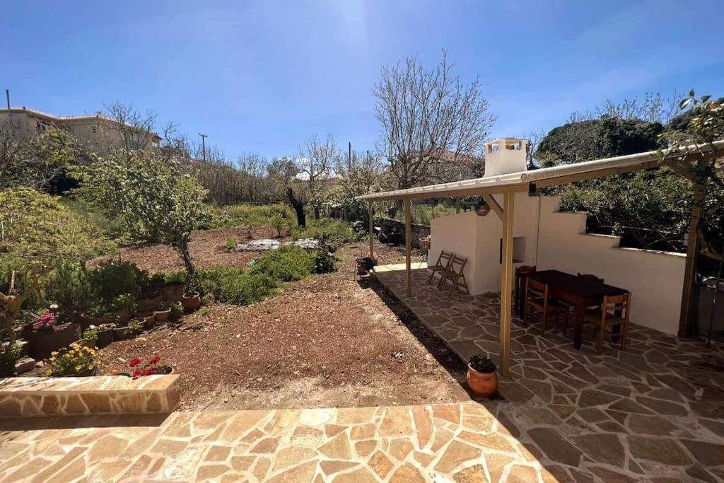 Traditional house with fresh vegetables garden photo 3