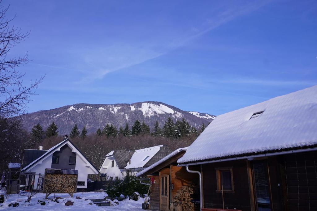 Koča Kopriva photo 1