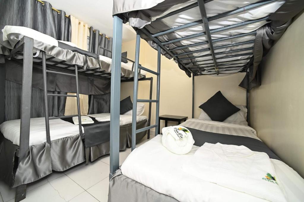 Peak Point Apartments Baguio photo 3