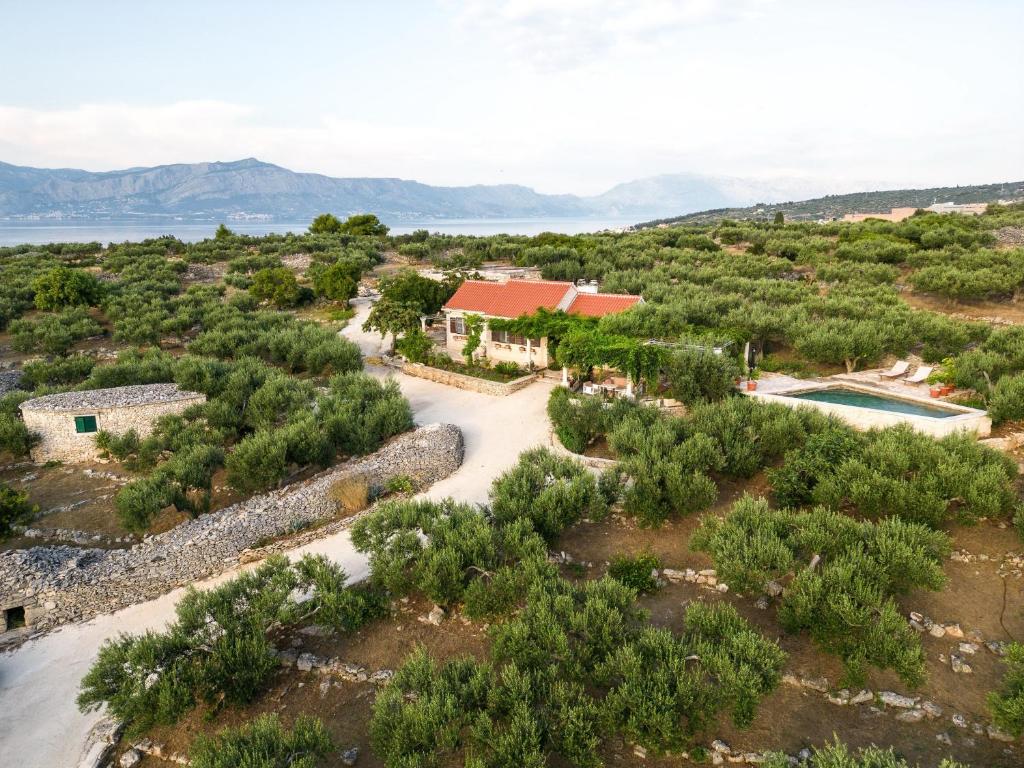Villa Roza photo 4