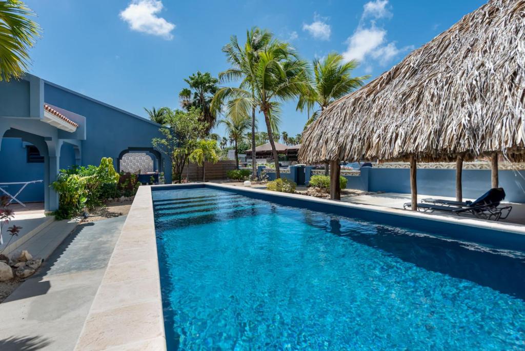 Blue Bonaire
