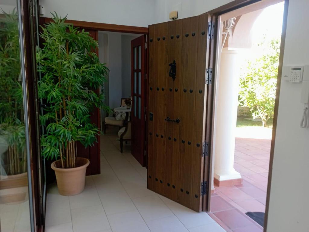Villa Martiniano photo 4