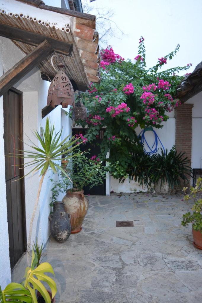 La Carrihuela Amarilla photo 3