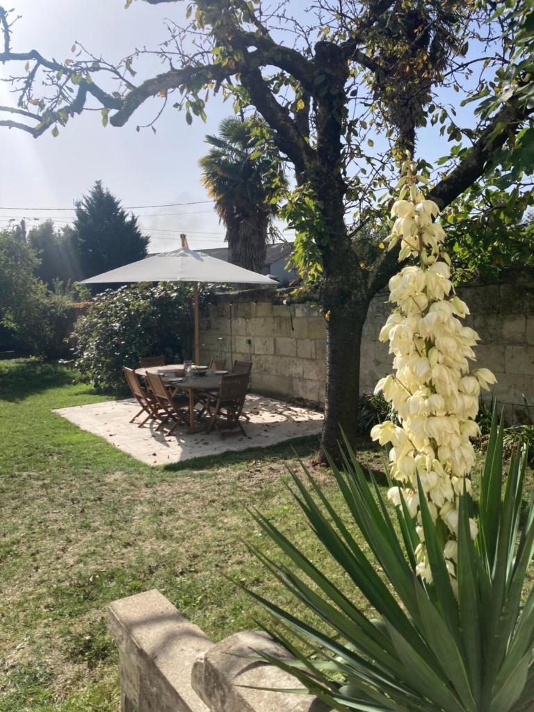 Les Hauts de Grillemont photo 3