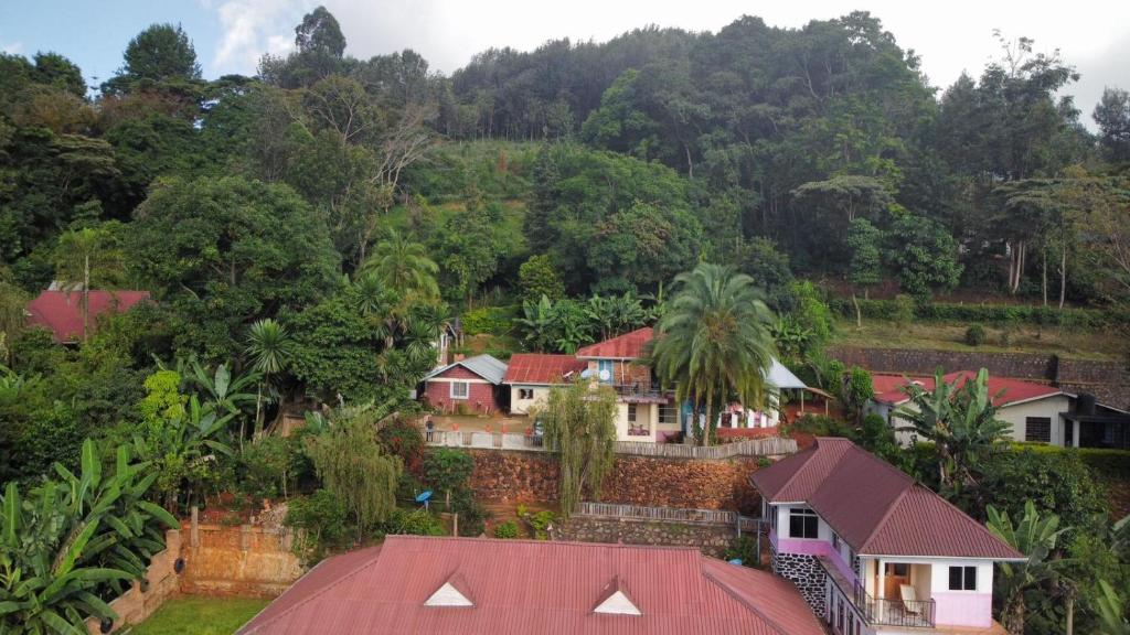 Lushoto views homestays