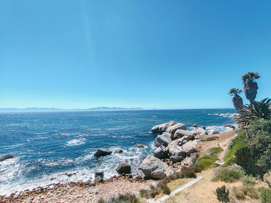 Timber's Ocean House photo 4