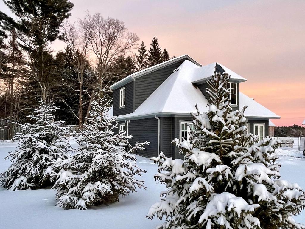 Cozy Muskoka 4-bedroom cottage on Lake Rosseau photo 1