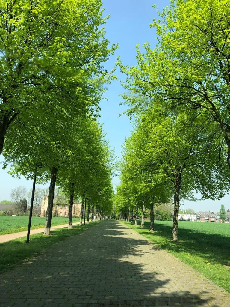 Gut Dyckhof photo 1