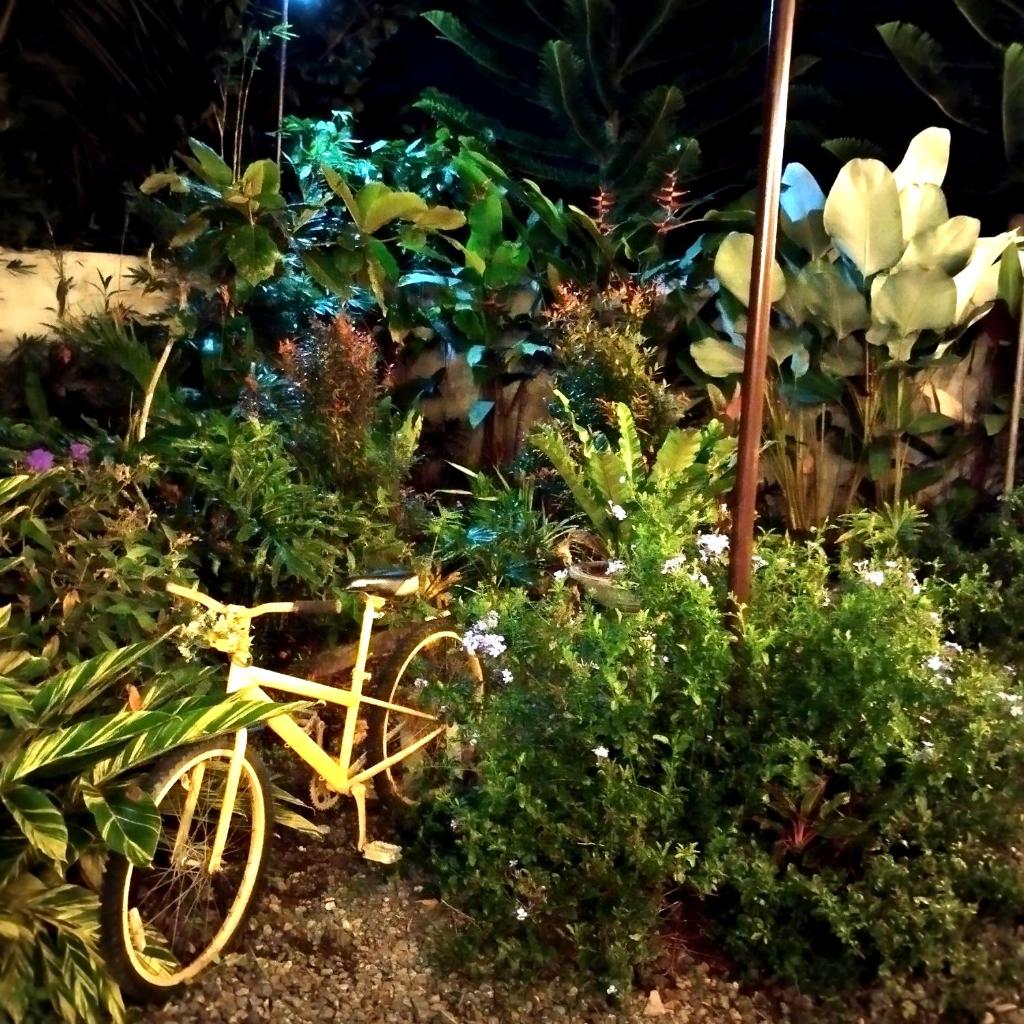 Garden Villa photo 2