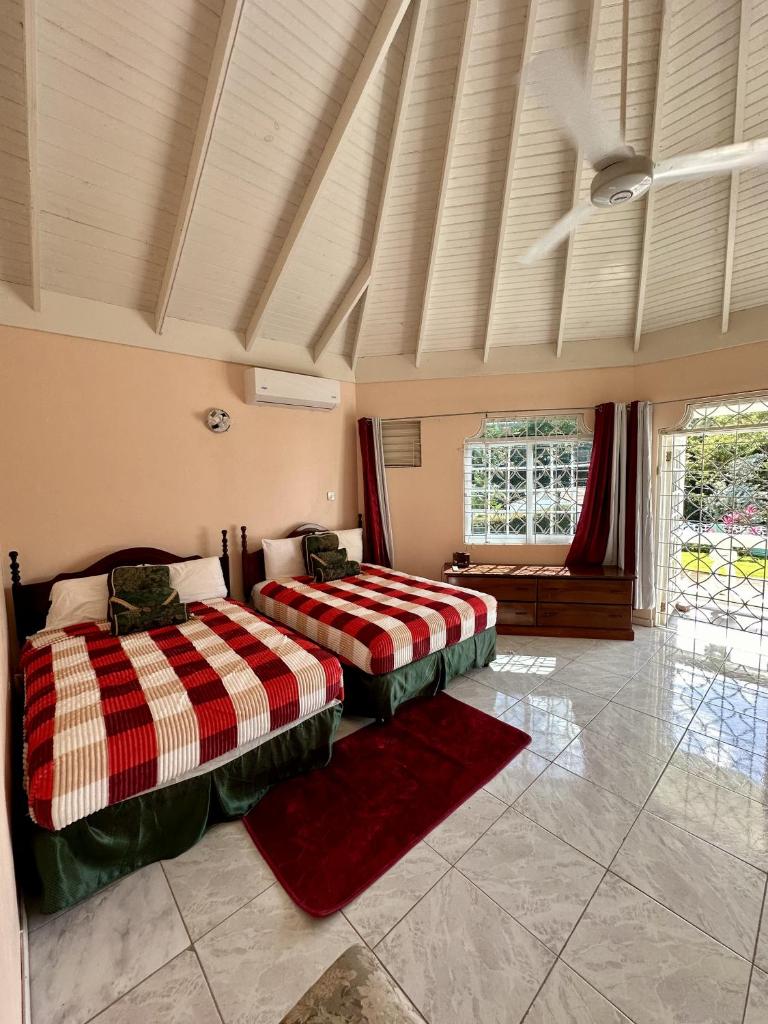 Apartment w/pool 10mins from Duns River Falls photo 3