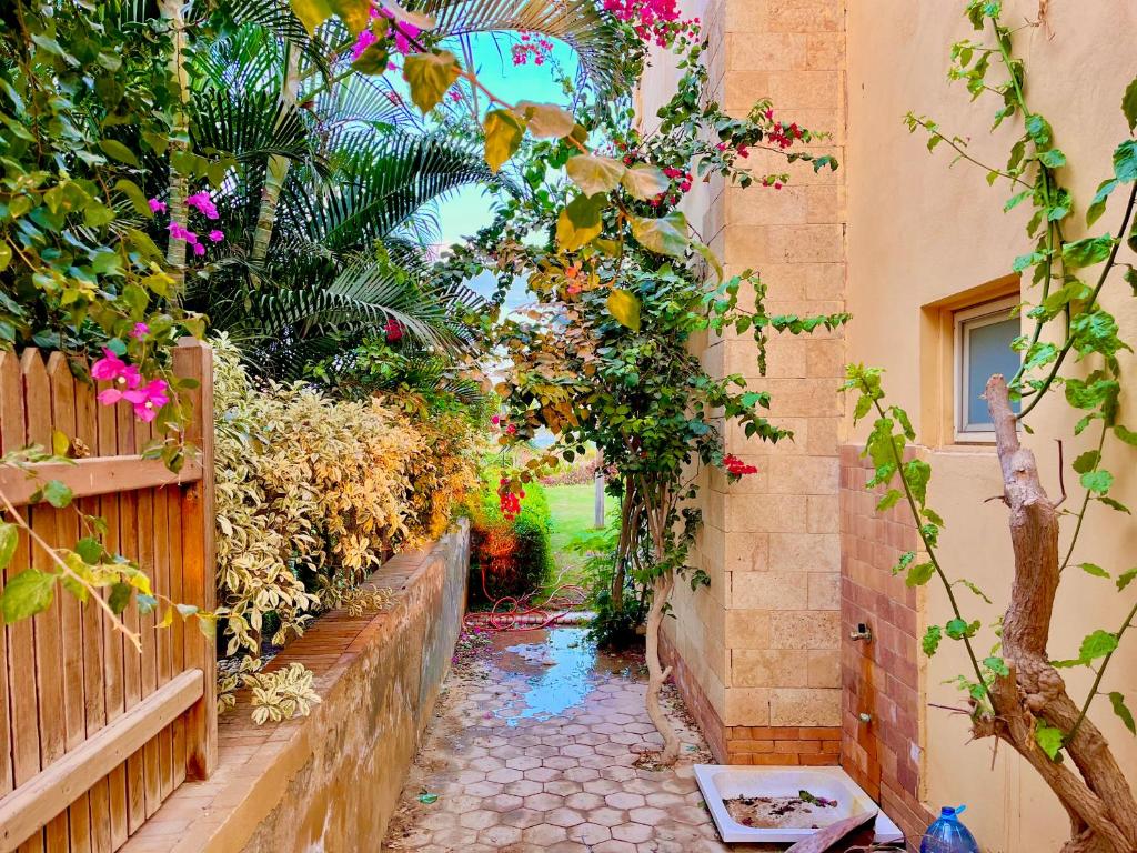 5-BR beachfront Villa on Red Sea - stunning view photo 3