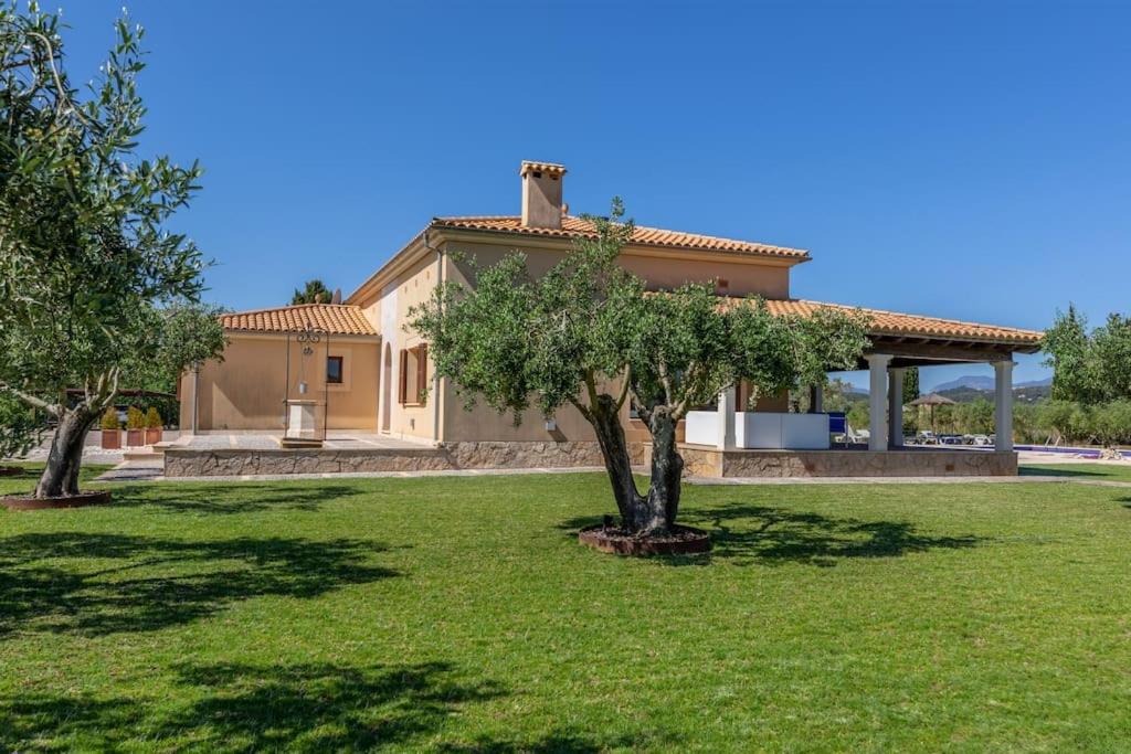 Moderne Finca, Alleinlage, 15min zum Playa del Muro photo 3
