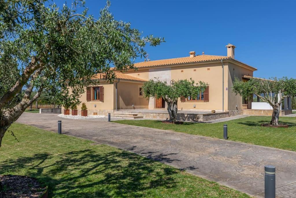 Moderne Finca, Alleinlage, 15min zum Playa del Muro photo 4