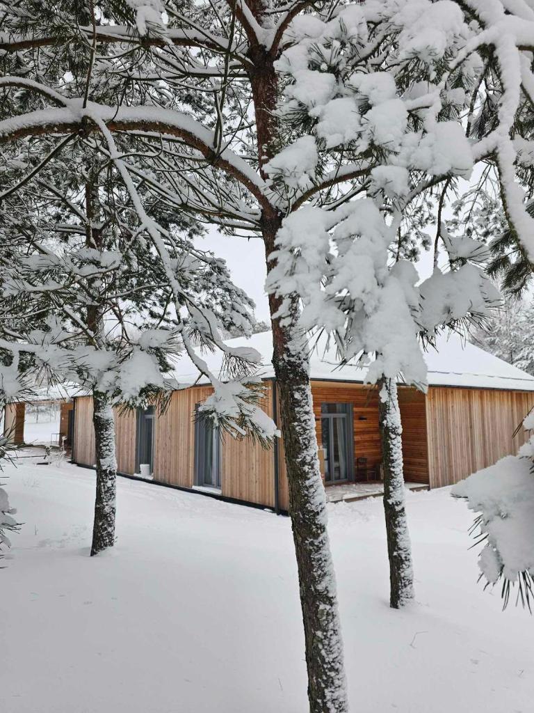 Miško Santorija photo 1