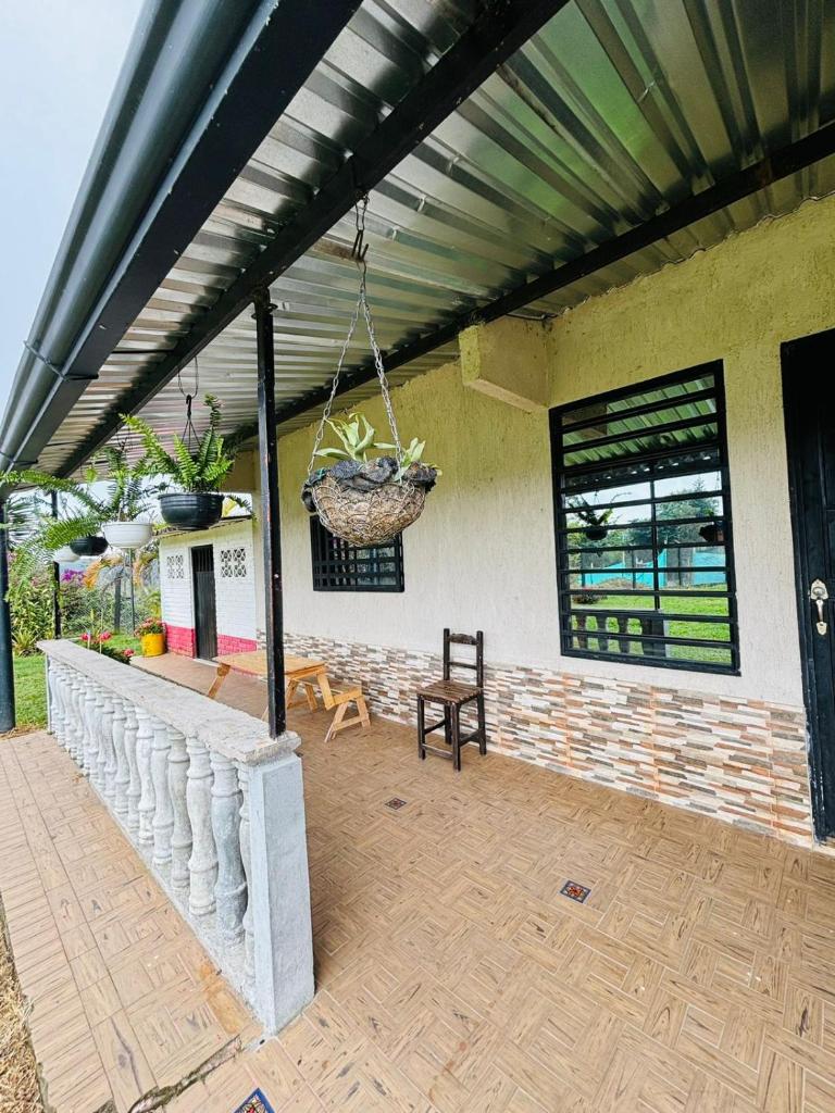 Finca Cafetera - La Guaca photo 3