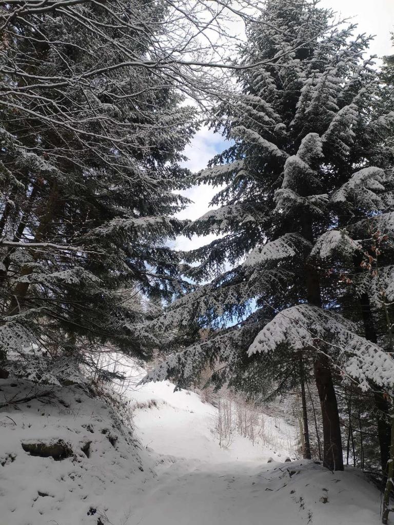Wypoczynek u Agnieszki photo 3