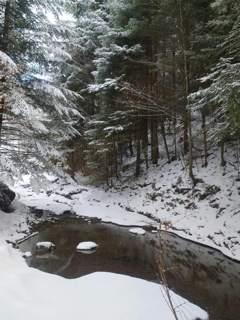 Wypoczynek u Agnieszki photo 1