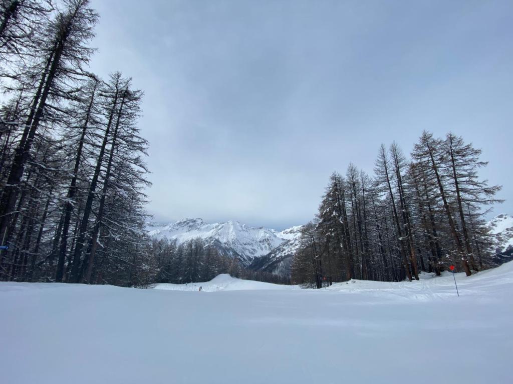 Les Granges d’Arvieux - Queyras - Appart 3ch./6p. photo 1
