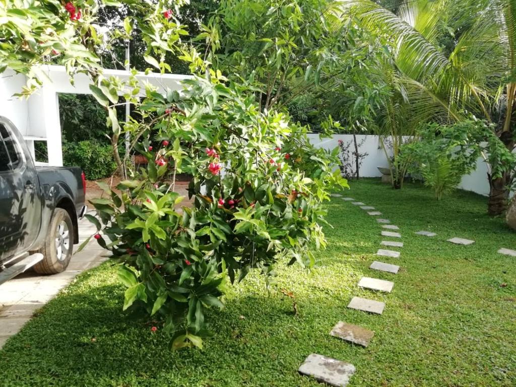 Nature Green Villa photo 3