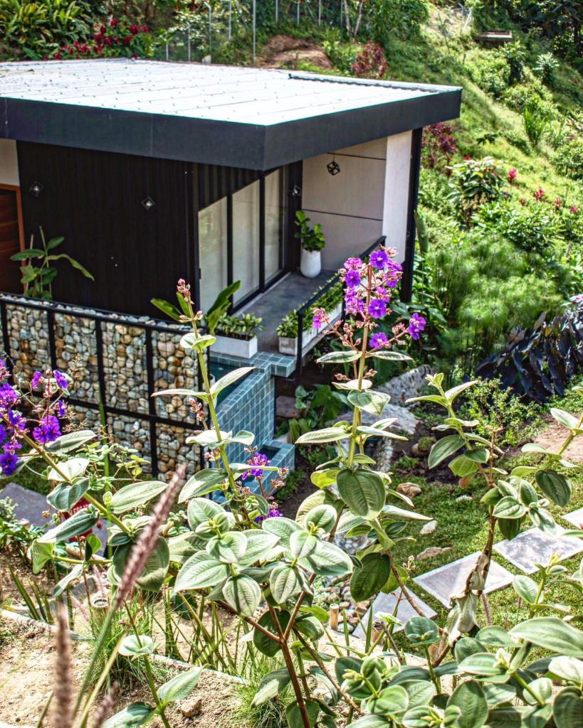 Primitivo Quindío photo 1