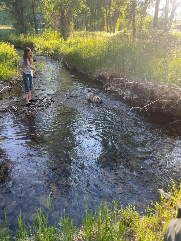 Antlers on the Creek Bed & Breakfast photo 1