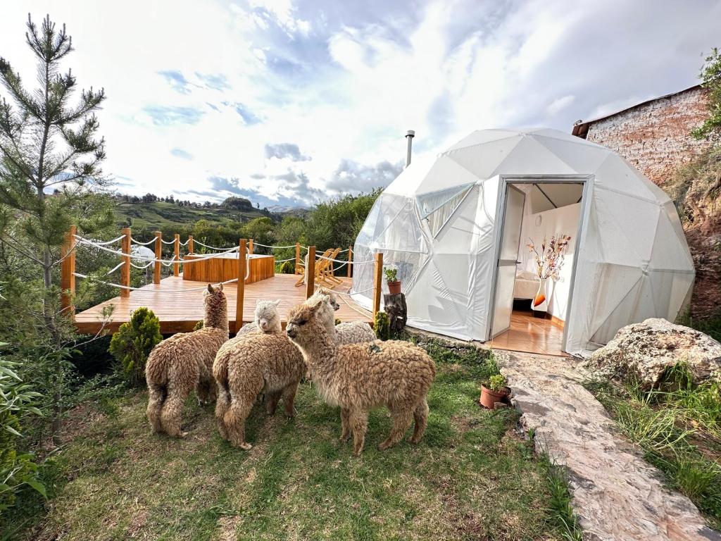 Sky Lodge Domes Cusco photo 1