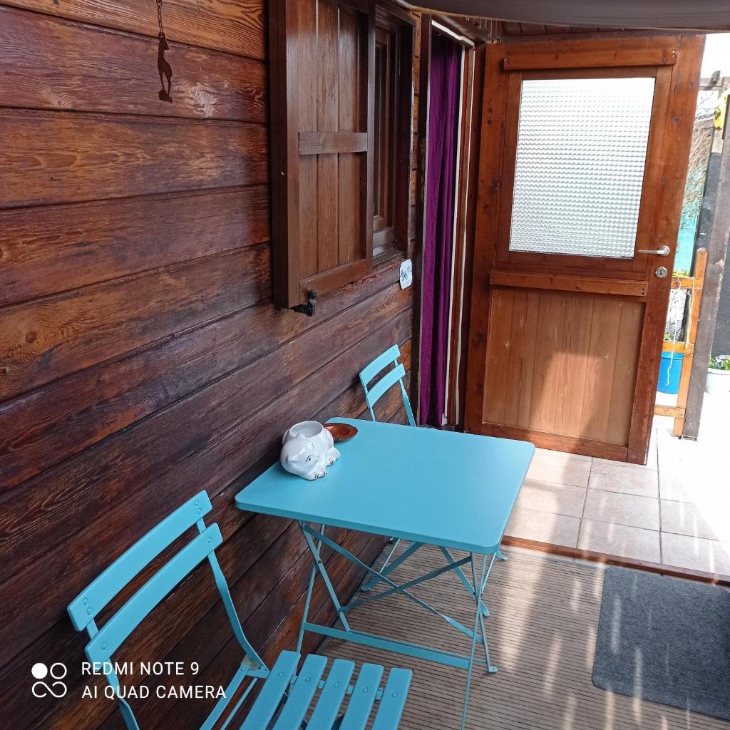 Le chat rêveur