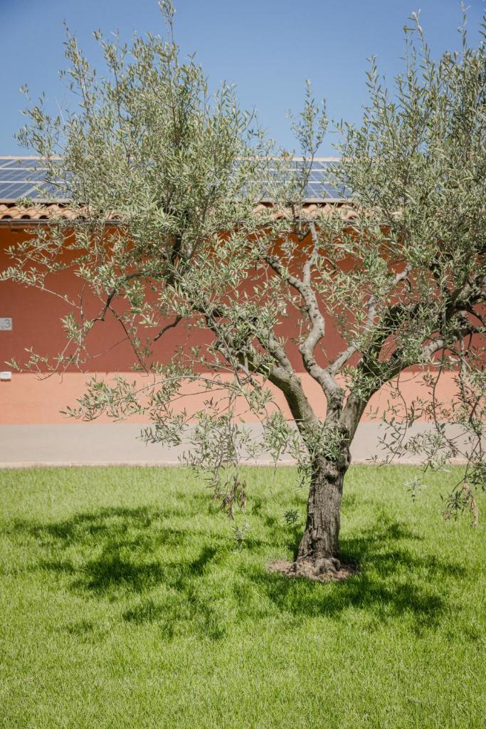 Borgo Sant'Anna photo 2