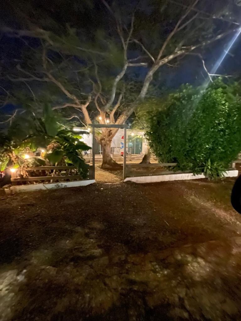 Las Olas studios