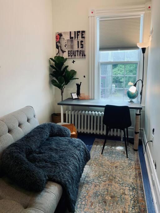 Pet-Friendly Space #3, King bed, Office photo 1