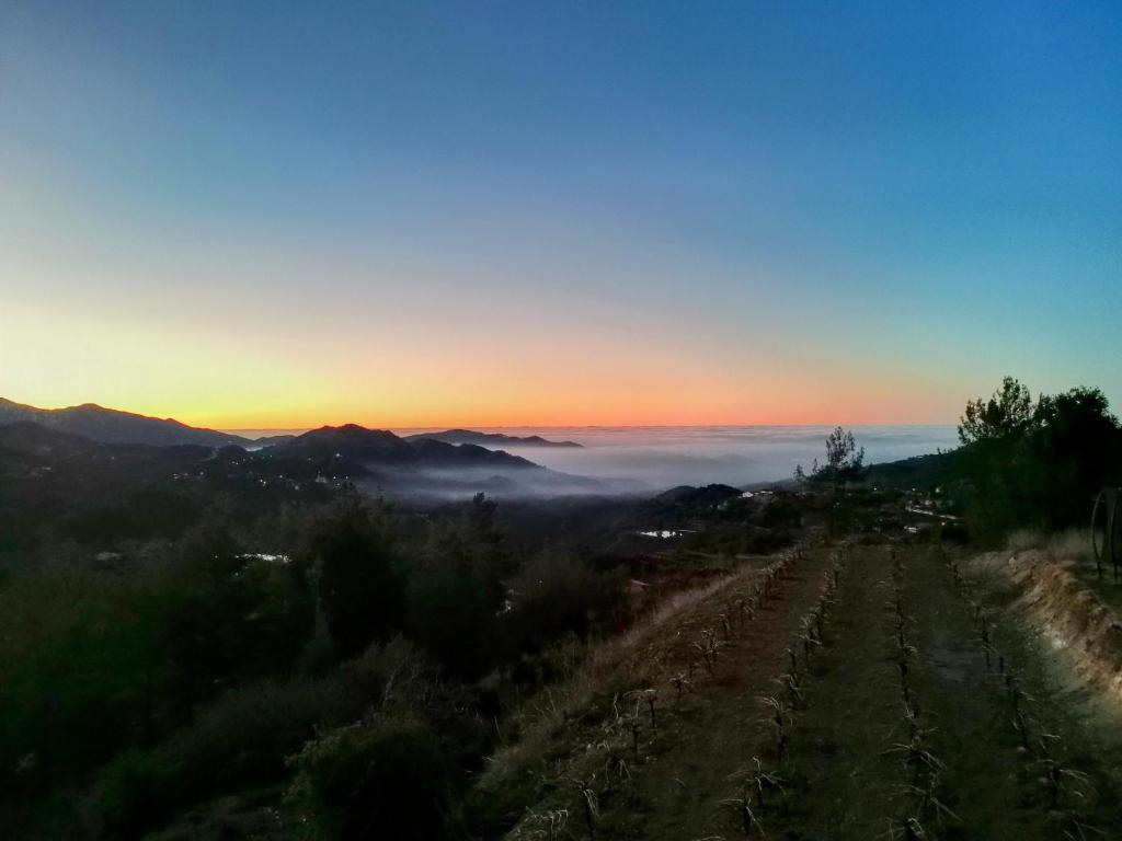 Arxaia skala photo 3