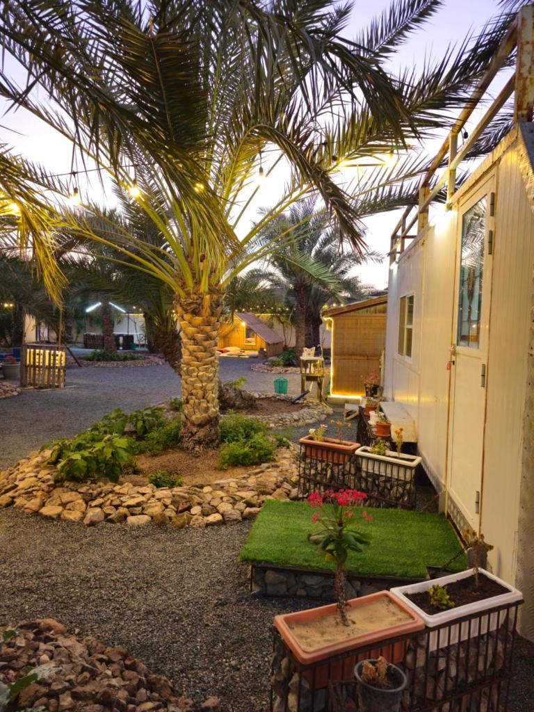 Hatta Farm caravan photo 1