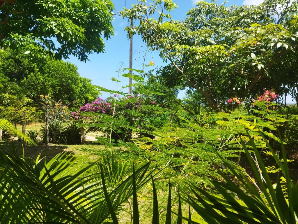 Casa de campo, perto da praia photo 4