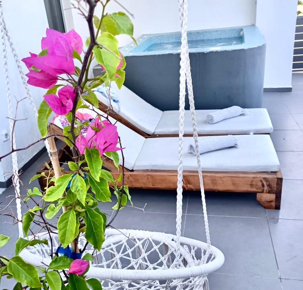 The Muse of Santorini Private Jaccuzzi Suite photo 3