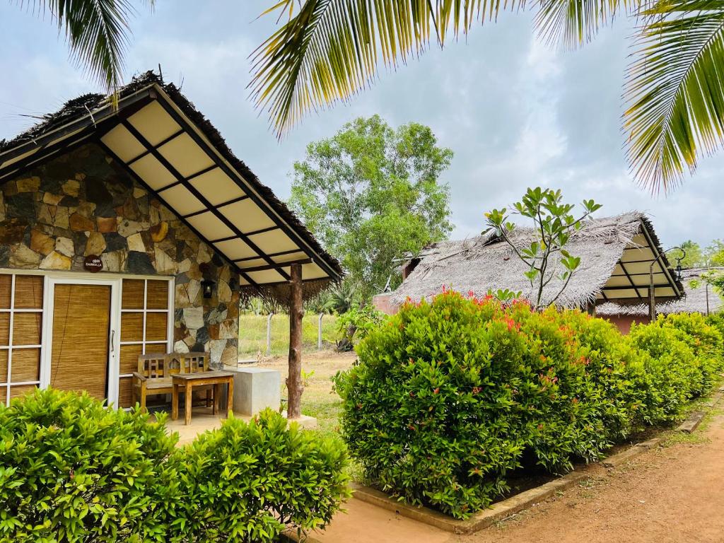 Coco Village Hotel Chilaw photo 1
