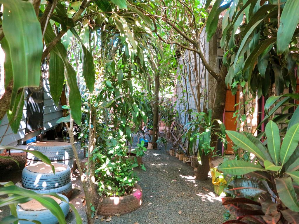 Ratanakiri Homestay & Jungle Trek photo 4