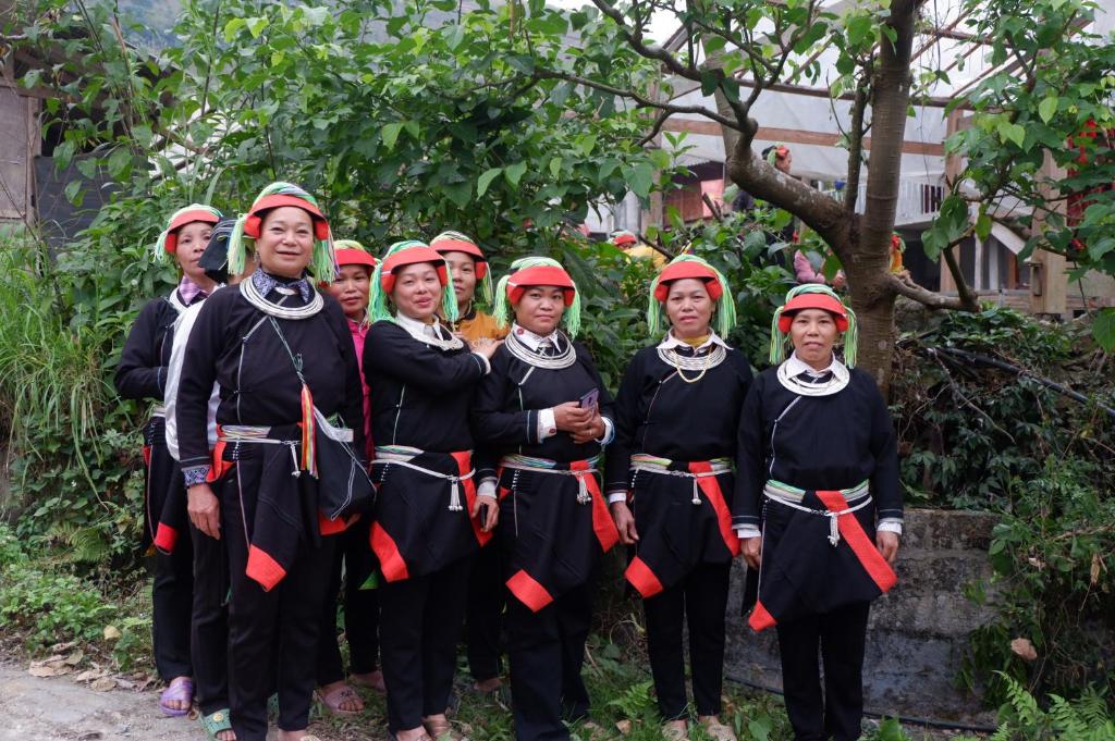 Bikki jungle homestay