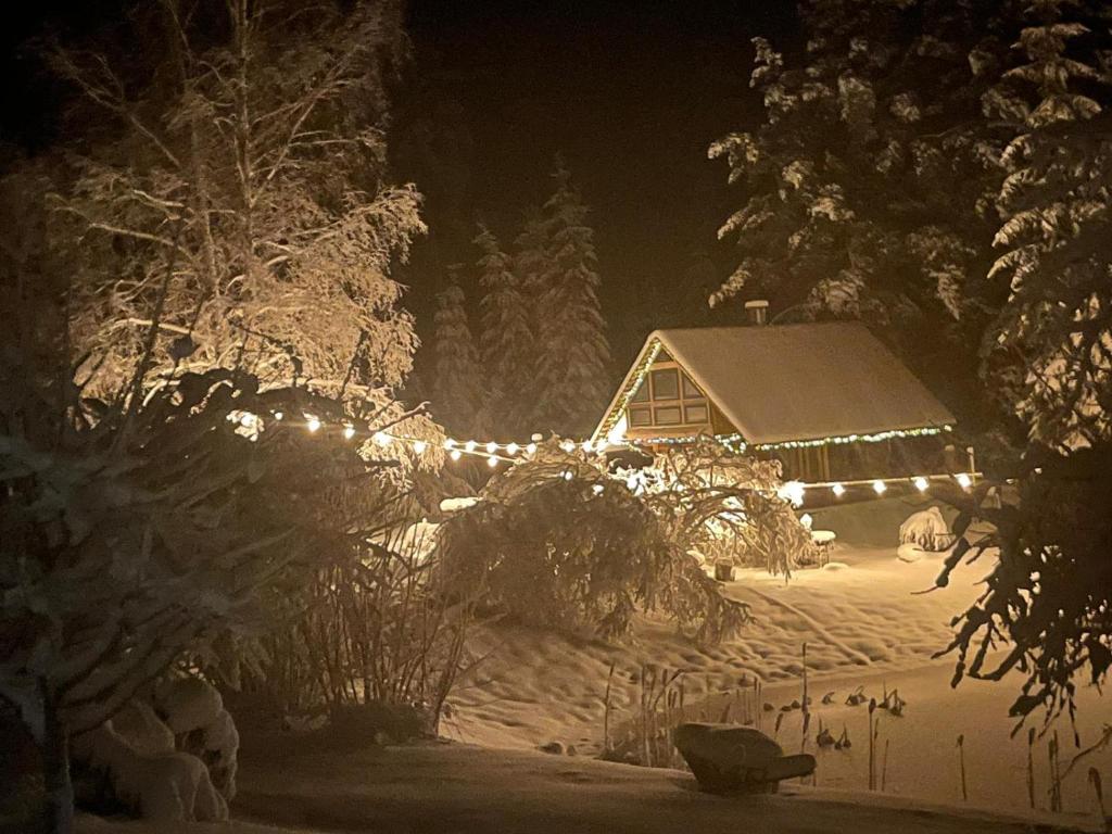 Viesu Nams “Noras”