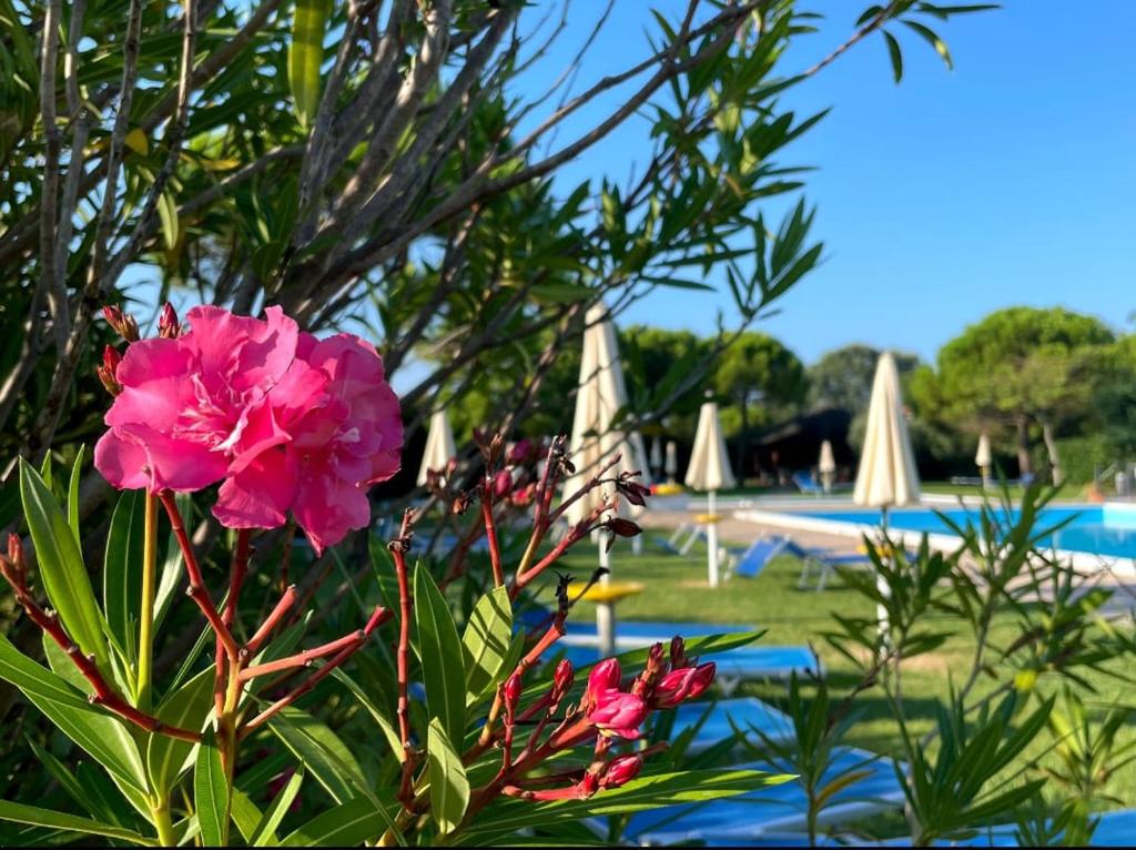 Calilla Home - appartamento Maestrale photo 1