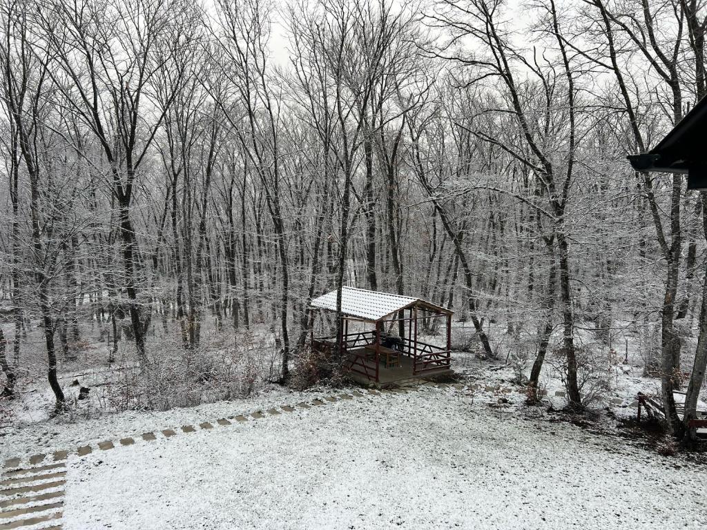 CHALET WOODS GUSAR photo 2