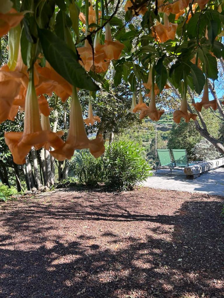 La casita del Lagar photo 3
