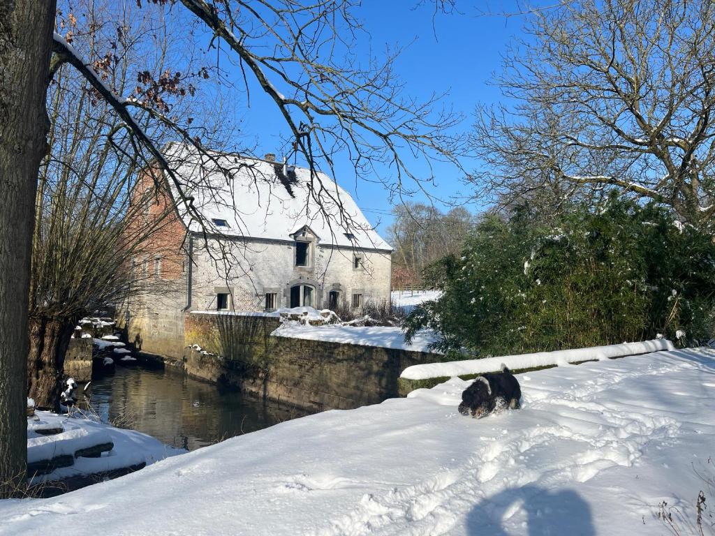 le Moulin de Braives photo 1