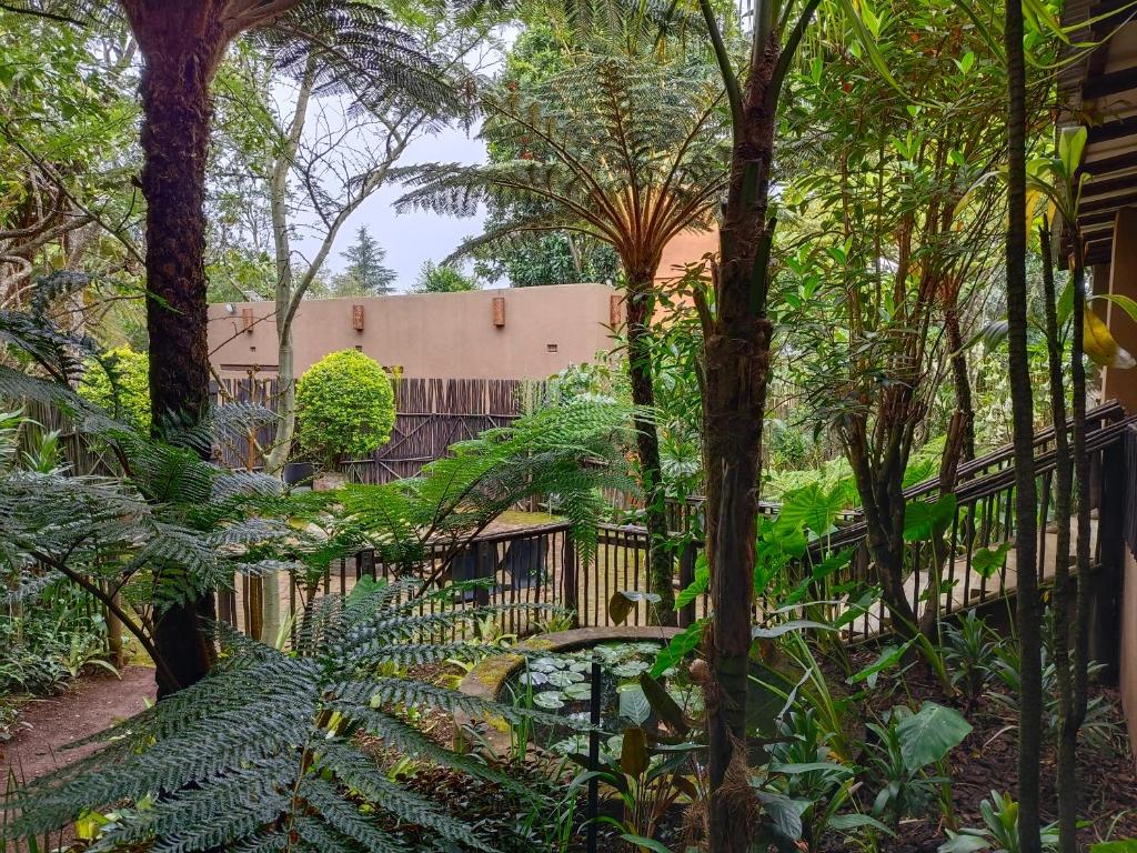 Dar Amane Guest House photo 4