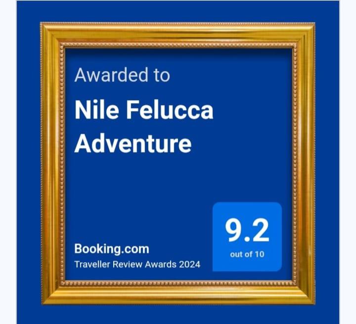 Nile Felucca Adventure photo 1