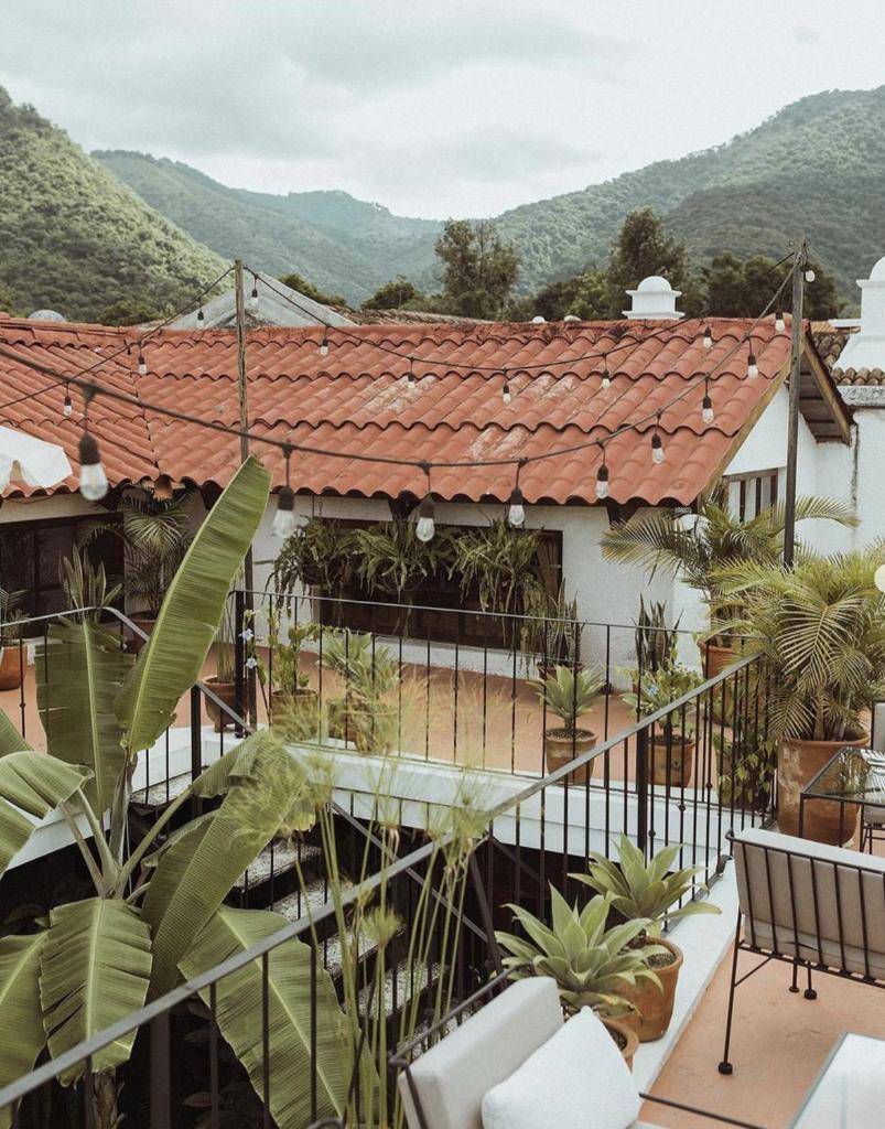Cacao Boutique Hotel photo 1