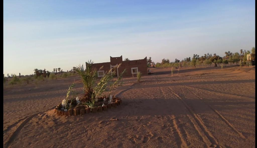 Desert house excursions photo 1