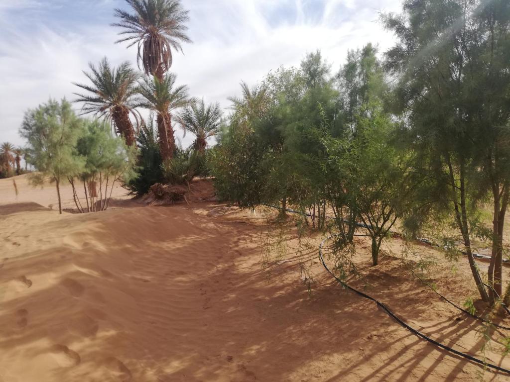 Desert house excursions photo 4