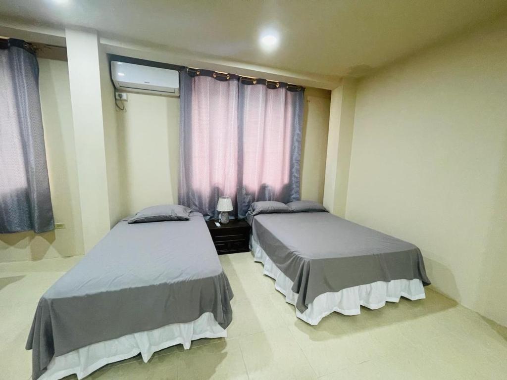 Alex Suite photo 2
