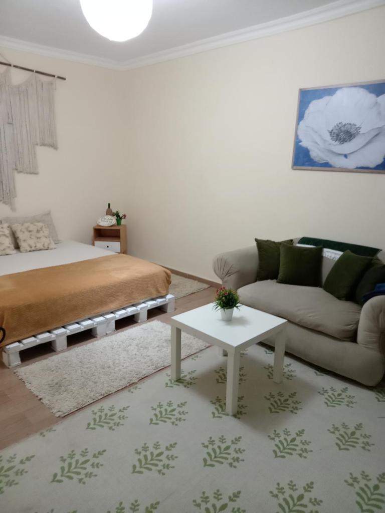 Room in a shared apartment photo 2
