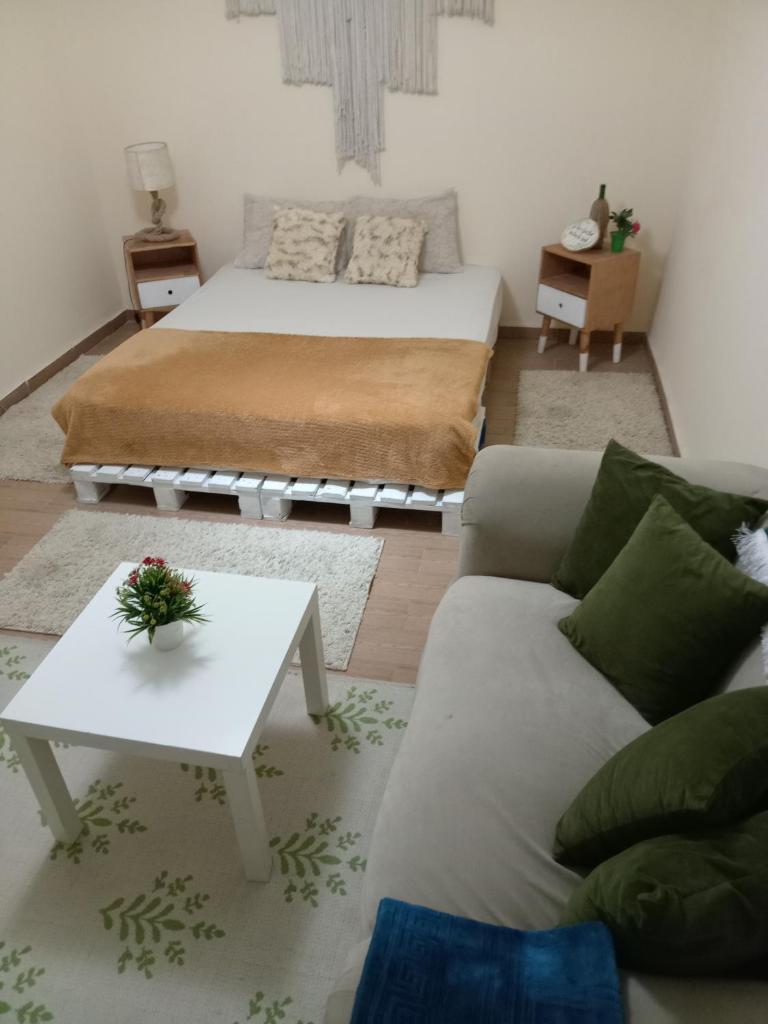 Room in a shared apartment photo 4